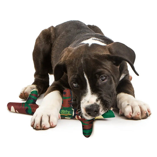 PetStix, Assorted Colors